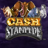 Cash Stampede