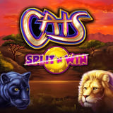 Cats Split 'N' Win