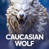 Caucasian Wolf