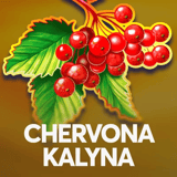 Chervona Kalyna
