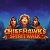 Chief Hawk's Spirit Walk™