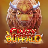 Crazy Buffalo