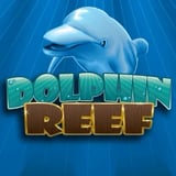 Dolphin Reef