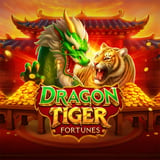 Dragon Tiger Fortunes