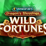 Dragon's Blessings: Wild Fortunes
