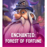 Enchanted: Forest of Fortune™