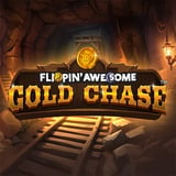 Flippin' Awesome Gold Chase
