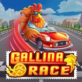 Gallina Race