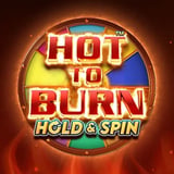Hot to Burn Hold and Spin™