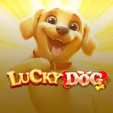 Lucky Dog