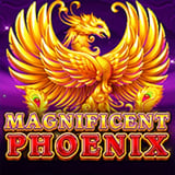 Magnificent Phoenix