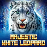 Majestic White Leopard
