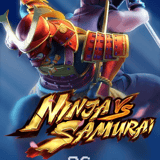 Ninja vs Samurai