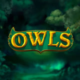 Owls