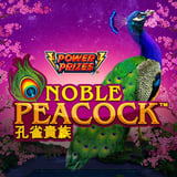 POWER PRIZES – Noble Peacock