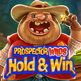 Prospector Wilds Hold and Win