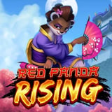 Red Panda Rising
