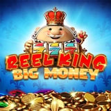 Reel King Big Money