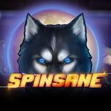Spinsane™