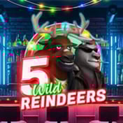 5 Wild Reindeers