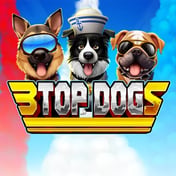 3 Top Dogs