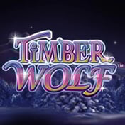 Timber Wolf