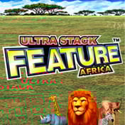 Ultra Stack Feature Africa