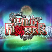 Wild Flower