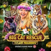 Big Cat Rescue Megaways