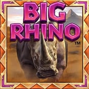 Big Rhino