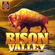 Bison Valley