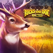 Buck and Doe 10K Ways