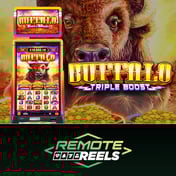 Buffalo Triple Boost (2005)