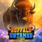 Buffalo Untamed