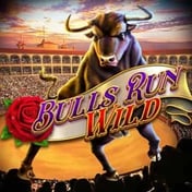 Bulls Run Wild