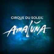 Cirque Du Soleil Amaluna