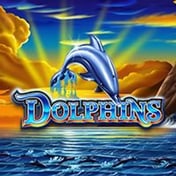 Dolphins