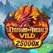 Dragons Of Arcane Wild