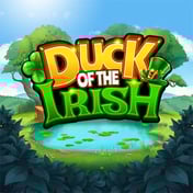 Duck of The Irish