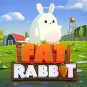 Fat Rabbit