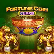Fortune Coin Charm