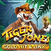 Gold Hit & Link: Tiger Jones
