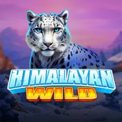 Himalayan Wild
