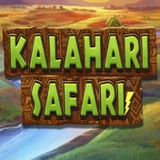 Kalahari Safari