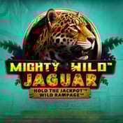 Mighty Wild Jaguar
