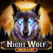 Night Wolf Hold and Hit