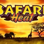 Safari Heat