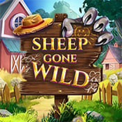 Sheep Gone Wild