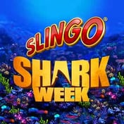 Slingo Shark Week