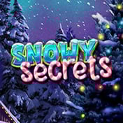 Snowy Secrets